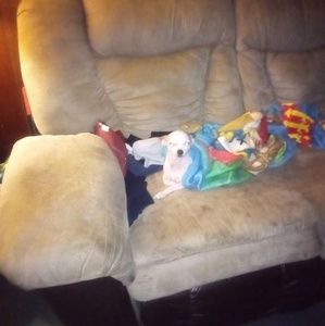 Meet your Posher, Olga